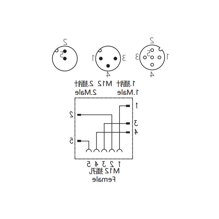 M12 5销母/M12 3销公+M12 2销公，y型连接器，645231